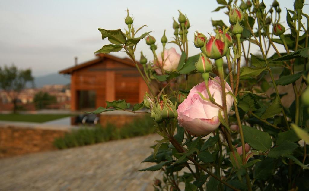 Residenza La Beccata Villa Pinerolo Buitenkant foto