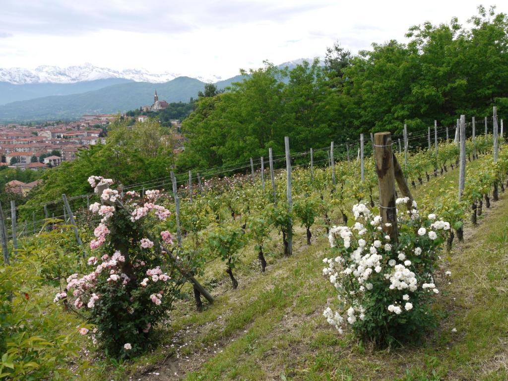 Residenza La Beccata Villa Pinerolo Buitenkant foto