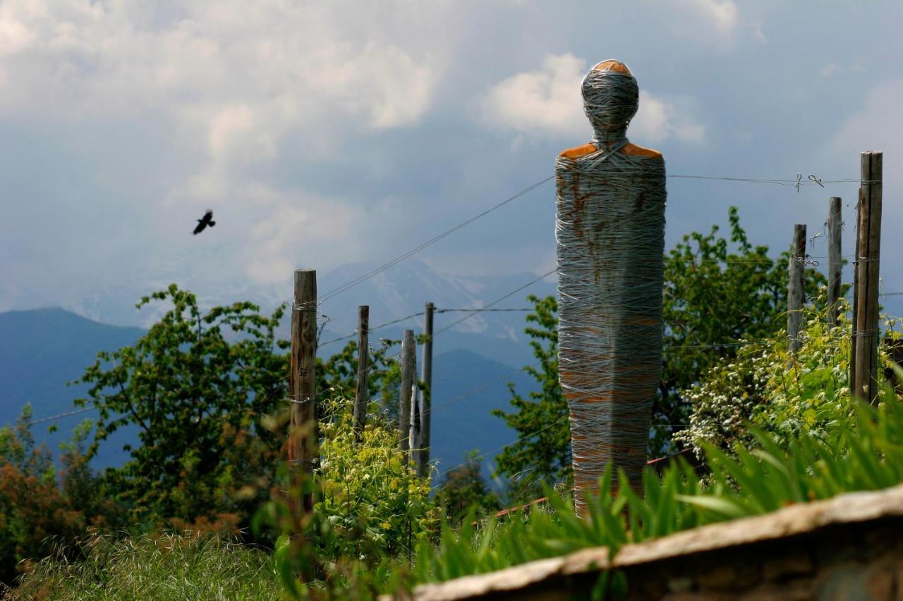 Residenza La Beccata Villa Pinerolo Buitenkant foto